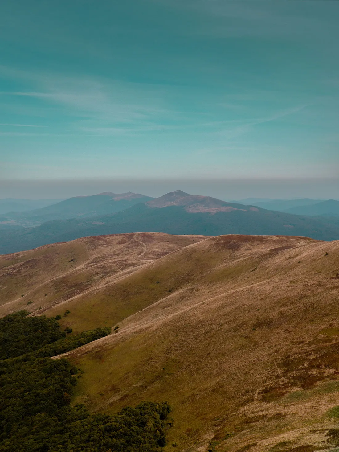Mountain landscape on the fictional storefront